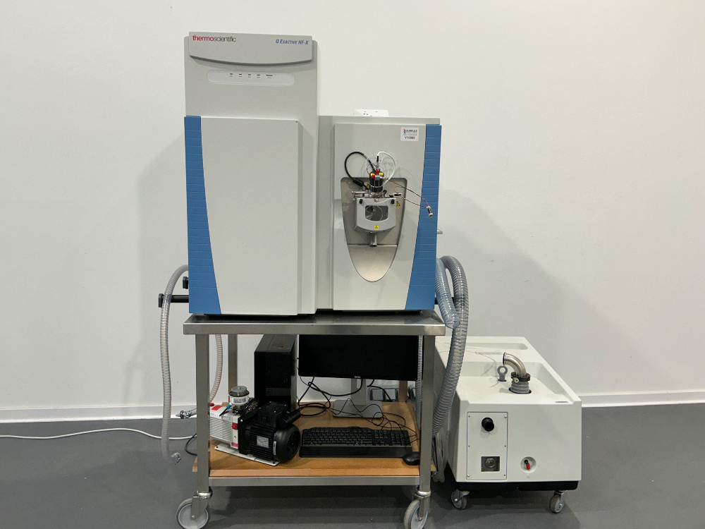 Image of Thermo Fisher Scientific Q Exactive HF-X LCMS